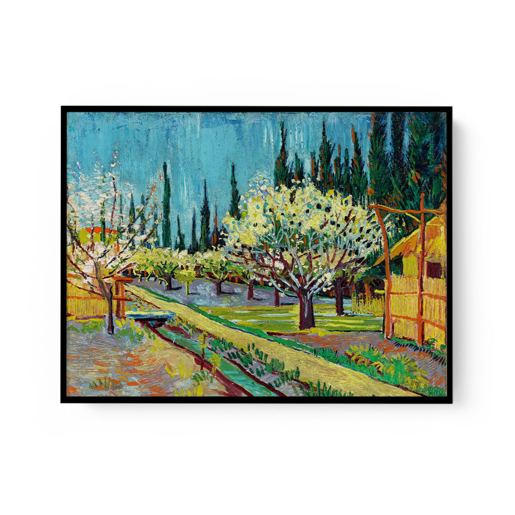 Orchard Bordered By Cypresses (1888) By Vincent Van Gogh Wall Art